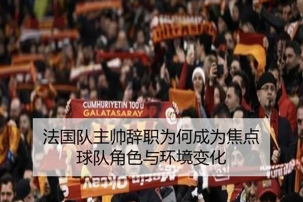 法国队主帅辞职为何成为焦点 球队角色与环境变化