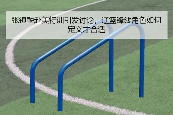 张镇麟赴美特训引发讨论，辽篮锋线角色如何定义才合适